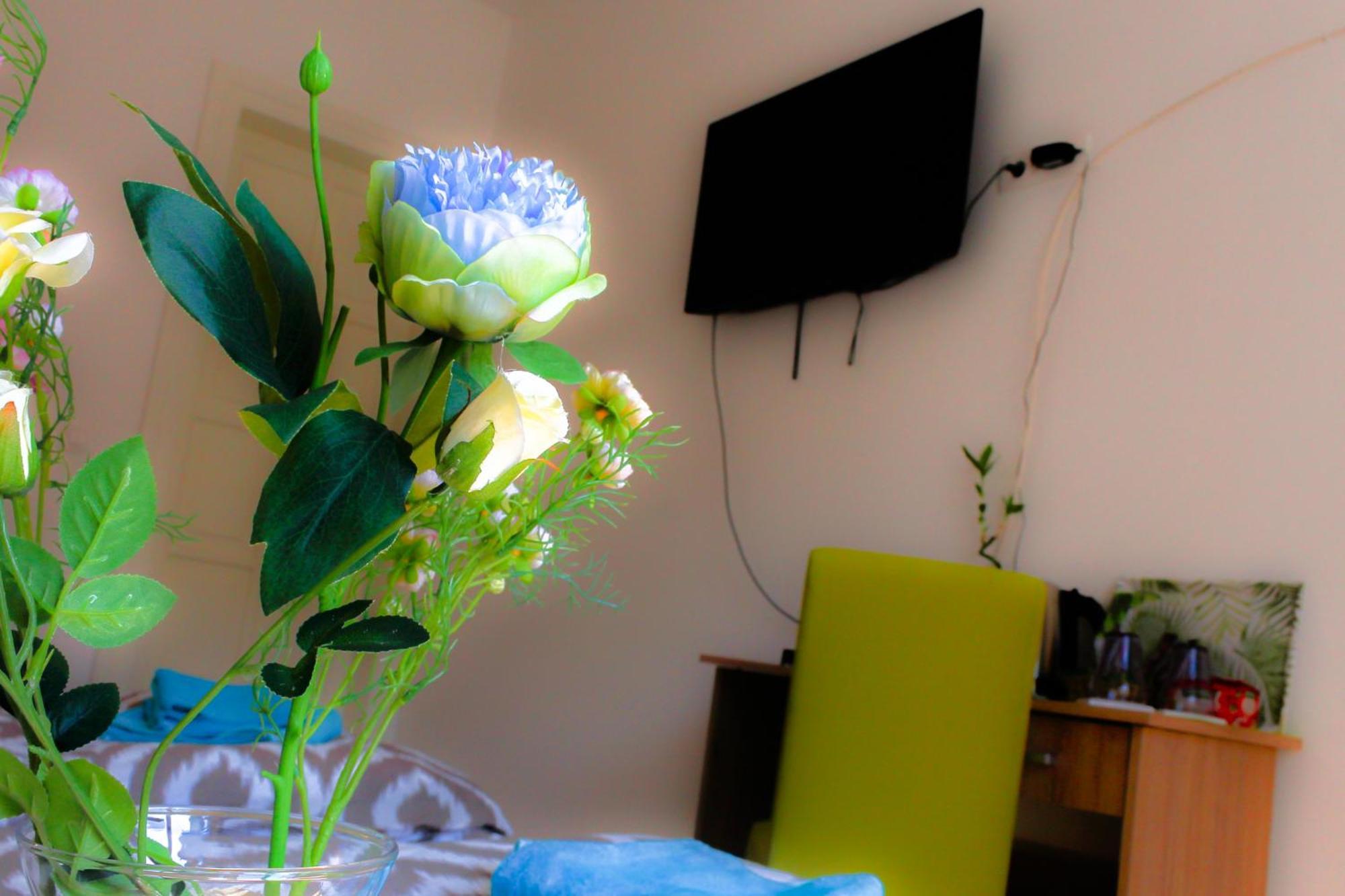 Fluminis Rooms Fiume Esterno foto